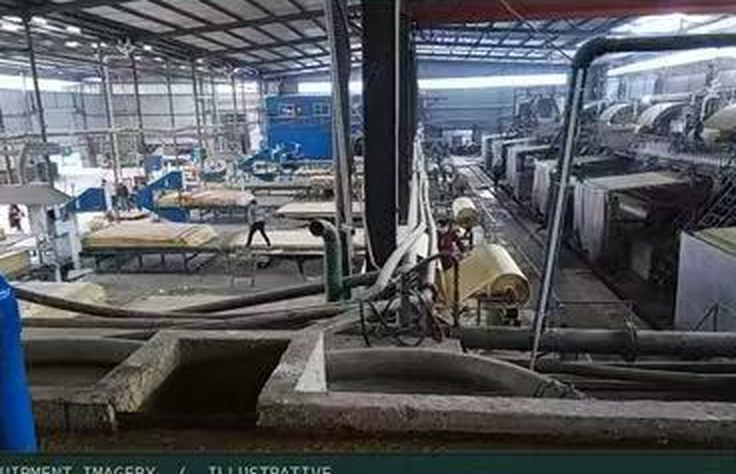 Bagasse pulp production line — sugarcane residue processed into fibre for paper and packaging